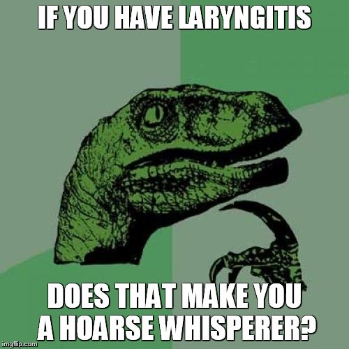 Philosoraptor Meme | IF YOU HAVE LARYNGITIS; DOES THAT MAKE YOU A HOARSE WHISPERER? | image tagged in memes,philosoraptor | made w/ Imgflip meme maker