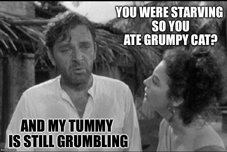 GRUMPY CAT IS FOOD | YOU WERE STARVING SO YOU ATE GRUMPY CAT? AND MY TUMMY IS STILL GRUMBLING | image tagged in starving,grumpy cat | made w/ Imgflip meme maker