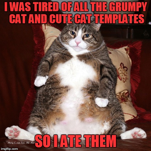 Fat Kitty  | I WAS TIRED OF ALL THE GRUMPY CAT AND CUTE CAT TEMPLATES; SO I ATE THEM | image tagged in funny,memes,fat kitty | made w/ Imgflip meme maker