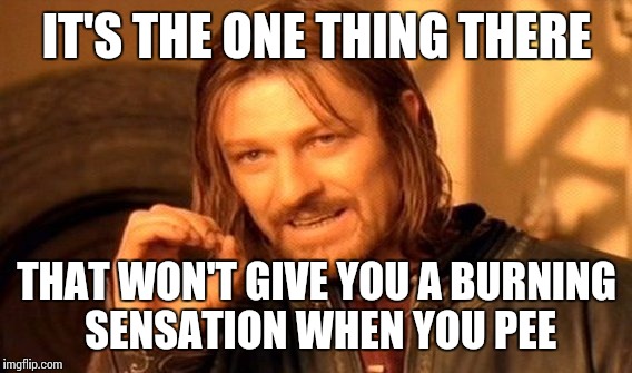 One Does Not Simply Meme | IT'S THE ONE THING THERE THAT WON'T GIVE YOU A BURNING SENSATION WHEN YOU PEE | image tagged in memes,one does not simply | made w/ Imgflip meme maker