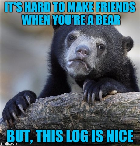 Confession Bear | IT'S HARD TO MAKE FRIENDS WHEN YOU'RE A BEAR; BUT, THIS LOG IS NICE | image tagged in memes,confession bear | made w/ Imgflip meme maker