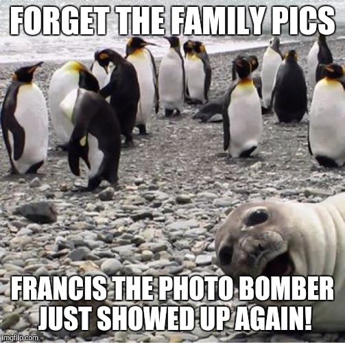 Photobomb | FORGET THE FAMILY PICS; FRANCIS THE PHOTO BOMBER JUST SHOWED UP AGAIN! | image tagged in photobomb | made w/ Imgflip meme maker