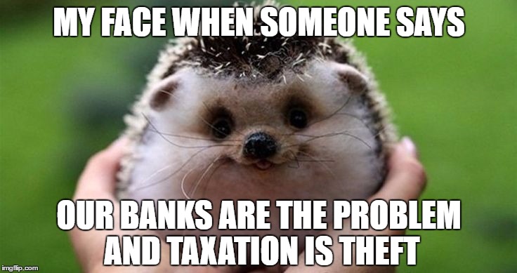 MY FACE WHEN SOMEONE SAYS; OUR BANKS ARE THE PROBLEM AND TAXATION IS THEFT | image tagged in happy groundhog | made w/ Imgflip meme maker