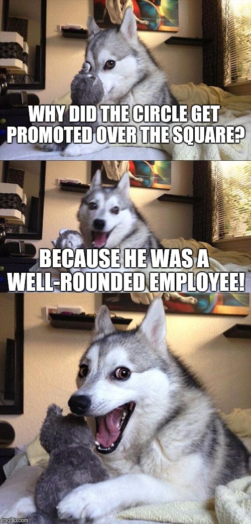 However, he's been known to cut corners... | WHY DID THE CIRCLE GET PROMOTED OVER THE SQUARE? BECAUSE HE WAS A WELL-ROUNDED EMPLOYEE! | image tagged in memes,bad pun dog,stale memes | made w/ Imgflip meme maker