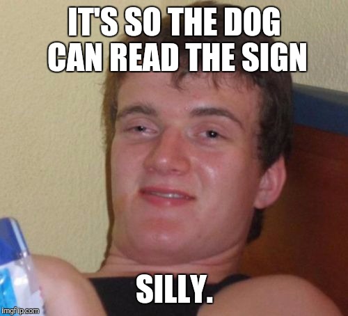 10 Guy Meme | IT'S SO THE DOG CAN READ THE SIGN SILLY. | image tagged in memes,10 guy | made w/ Imgflip meme maker