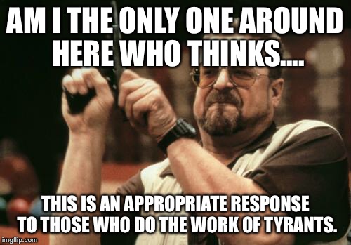 John Goodman | AM I THE ONLY ONE AROUND HERE WHO THINKS.... THIS IS AN APPROPRIATE RESPONSE TO THOSE WHO DO THE WORK OF TYRANTS. | image tagged in john goodman | made w/ Imgflip meme maker