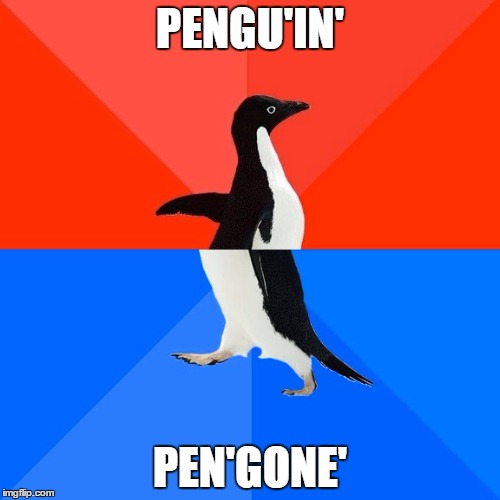 Socially Awesome Awkward Penguin Meme | PENGU'IN'; PEN'GONE' | image tagged in memes,socially awesome awkward penguin | made w/ Imgflip meme maker