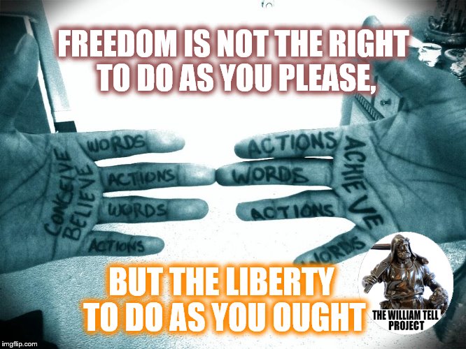 Getting respect giving respect | FREEDOM IS NOT THE RIGHT TO DO AS YOU PLEASE, BUT THE LIBERTY TO DO AS YOU OUGHT | image tagged in getting respect giving respect | made w/ Imgflip meme maker