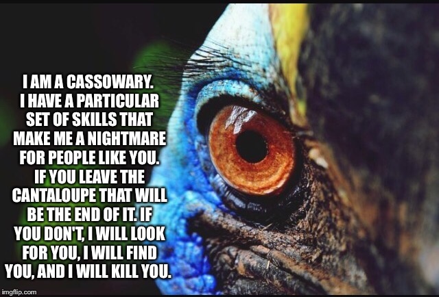The better big bird | I AM A CASSOWARY. I HAVE A PARTICULAR SET OF SKILLS THAT MAKE ME A NIGHTMARE FOR PEOPLE LIKE YOU. IF YOU LEAVE THE CANTALOUPE THAT WILL BE THE END OF IT. IF YOU DON'T, I WILL LOOK FOR YOU, I WILL FIND YOU, AND I WILL KILL YOU. | image tagged in memes,funny,taken,birds | made w/ Imgflip meme maker