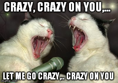 CRAZY, CRAZY ON YOU,... LET ME GO CRAZY,.. CRAZY ON YOU | made w/ Imgflip meme maker