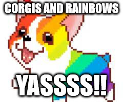 What Could Possibly Go Wrong? | CORGIS AND RAINBOWS; YASSSS!! | image tagged in corgi,rainbow | made w/ Imgflip meme maker