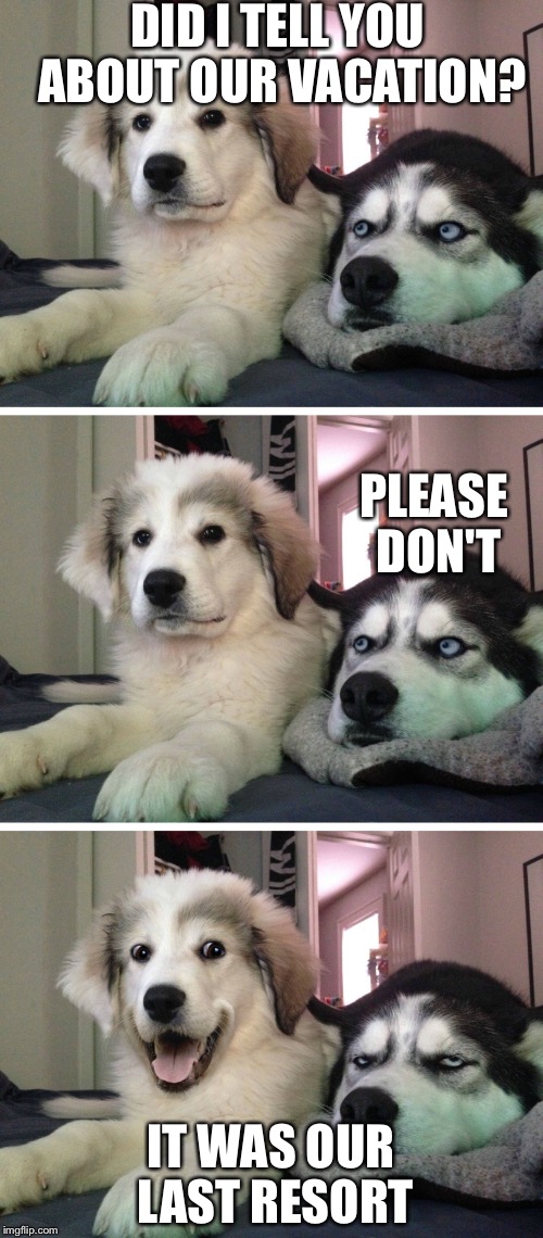 Bad pun dogs | DID I TELL YOU ABOUT OUR VACATION? PLEASE DON'T; IT WAS OUR LAST RESORT | image tagged in bad pun dogs | made w/ Imgflip meme maker