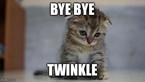 Sad kitten | BYE BYE; TWINKLE | image tagged in sad kitten | made w/ Imgflip meme maker
