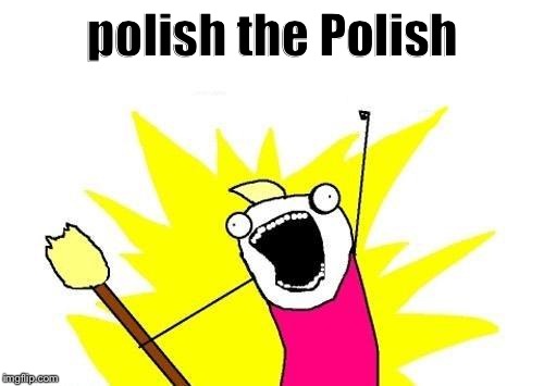 X All The Y Meme | polish the Polish | image tagged in memes,x all the y | made w/ Imgflip meme maker