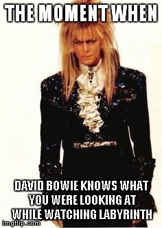 THE MOMENT WHEN DAVID BOWIE KNOWS WHAT YOU WERE LOOKING AT WHILE WATCHING LABYRINTH | made w/ Imgflip meme maker