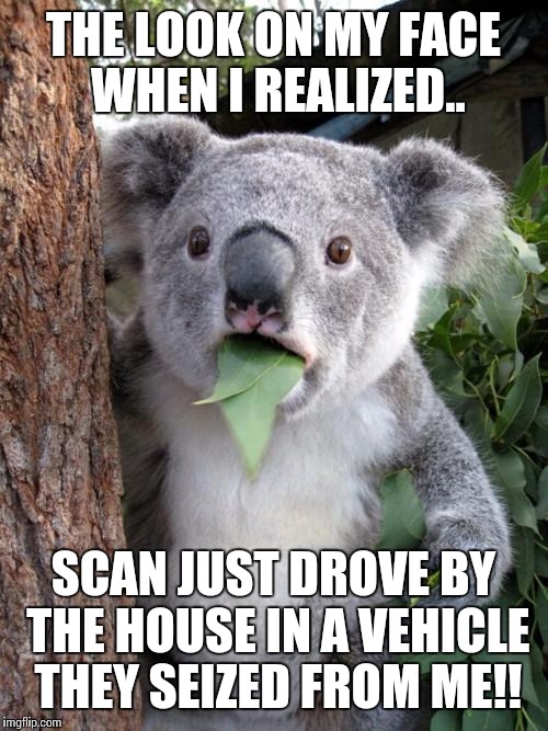 Surprised Koala Meme | THE LOOK ON MY FACE WHEN I REALIZED.. SCAN JUST DROVE BY THE HOUSE IN A VEHICLE THEY SEIZED FROM ME!! | image tagged in memes,surprised koala | made w/ Imgflip meme maker