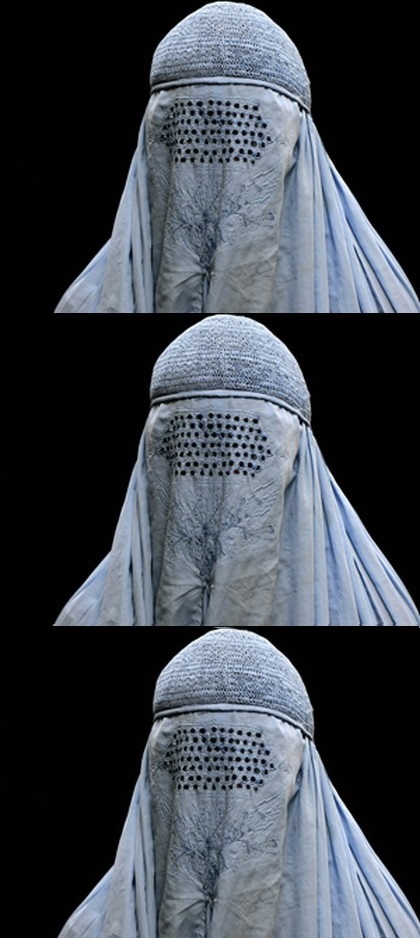 High Quality Bad Pun Burka Blank Meme Template