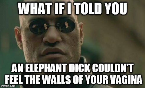 Matrix Morpheus Meme | WHAT IF I TOLD YOU AN ELEPHANT DICK COULDN'T FEEL THE WALLS OF YOUR VA**NA | image tagged in memes,matrix morpheus | made w/ Imgflip meme maker