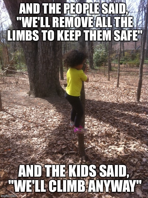 AND THE PEOPLE SAID, "WE'LL REMOVE ALL THE LIMBS TO KEEP THEM SAFE"; AND THE KIDS SAID, "WE'LL CLIMB ANYWAY" | image tagged in play,safety | made w/ Imgflip meme maker