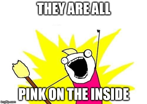 X All The Y Meme | THEY ARE ALL PINK ON THE INSIDE | image tagged in memes,x all the y | made w/ Imgflip meme maker