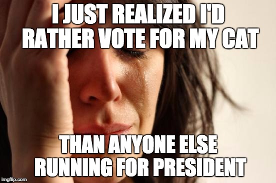 First World Problems | I JUST REALIZED I'D RATHER VOTE FOR MY CAT; THAN ANYONE ELSE RUNNING FOR PRESIDENT | image tagged in memes,first world problems | made w/ Imgflip meme maker