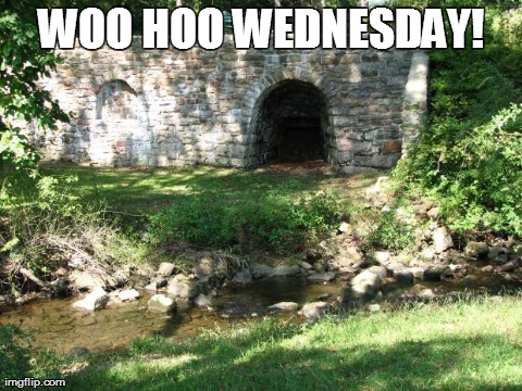 WOO HOO WEDNESDAY! | made w/ Imgflip meme maker