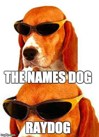 I thought of this as i saw Invicta103's front page meme | THE NAMES DOG; RAYDOG | image tagged in raydog,dog,james bond | made w/ Imgflip meme maker