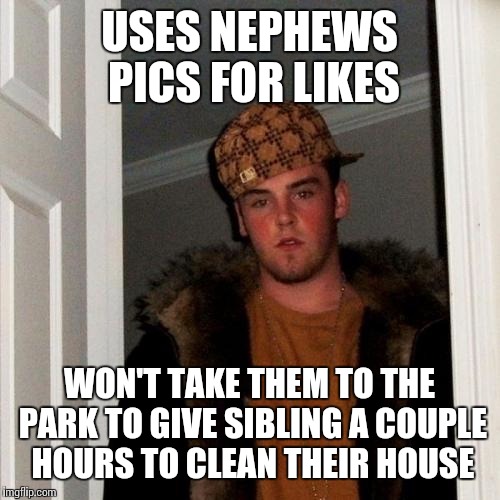 Scumbag Steve | USES NEPHEWS PICS FOR LIKES; WON'T TAKE THEM TO THE PARK TO GIVE SIBLING A COUPLE HOURS TO CLEAN THEIR HOUSE | image tagged in memes,scumbag steve | made w/ Imgflip meme maker