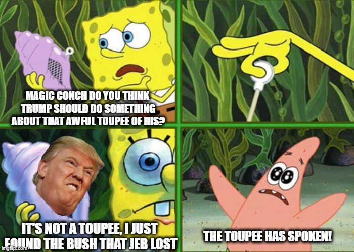 MAGIC CONCH DO YOU THINK TRUMP SHOULD DO SOMETHING ABOUT THAT AWFUL TOUPEE OF HIS? IT'S NOT A TOUPEE, I JUST FOUND THE BUSH THAT JEB LOST; THE TOUPEE HAS SPOKEN! | image tagged in politics,funny,spongebob,donald trumph hair | made w/ Imgflip meme maker