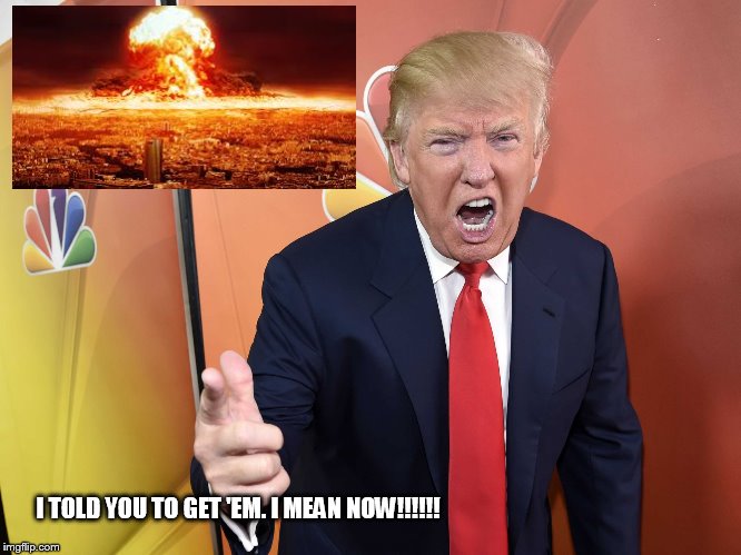 I TOLD YOU TO GET 'EM. I MEAN NOW!!!!!! | image tagged in trump | made w/ Imgflip meme maker