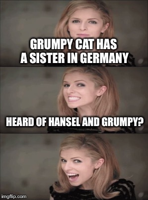 GRUMPY CAT HAS A SISTER IN GERMANY HEARD OF HANSEL AND GRUMPY? | made w/ Imgflip meme maker