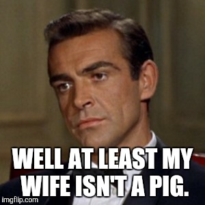 WELL AT LEAST MY WIFE ISN'T A PIG. | image tagged in bonds not amused | made w/ Imgflip meme maker