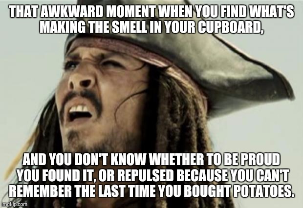 confused dafuq jack sparrow what | THAT AWKWARD MOMENT WHEN YOU FIND WHAT'S MAKING THE SMELL IN YOUR CUPBOARD, AND YOU DON'T KNOW WHETHER TO BE PROUD YOU FOUND IT, OR REPULSED BECAUSE YOU CAN'T REMEMBER THE LAST TIME YOU BOUGHT POTATOES. | image tagged in confused dafuq jack sparrow what | made w/ Imgflip meme maker