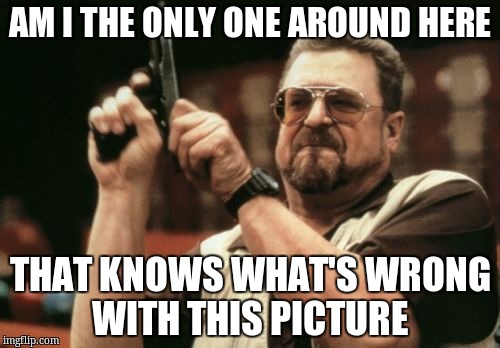 Am I The Only One Around Here | AM I THE ONLY ONE AROUND HERE; THAT KNOWS WHAT'S WRONG WITH THIS PICTURE | image tagged in memes,am i the only one around here | made w/ Imgflip meme maker