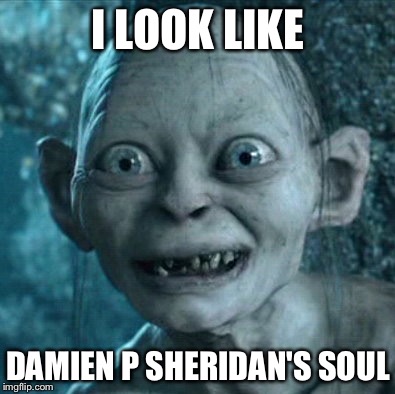 Gollum Meme | I LOOK LIKE; DAMIEN P SHERIDAN'S SOUL | image tagged in memes,gollum | made w/ Imgflip meme maker