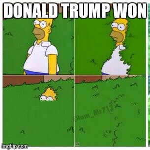 Homer hides | DONALD TRUMP WON | image tagged in homer hides | made w/ Imgflip meme maker