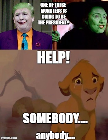 We Are Screwed | ONE OF THESE MONSTERS IS GOING TO BE THE PRESIDENT? | image tagged in hillary,trump,politics,help | made w/ Imgflip meme maker