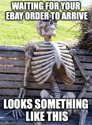Waiting Skeleton | WAITING FOR YOUR EBAY ORDER TO ARRIVE; LOOKS SOMETHING LIKE THIS | image tagged in memes,waiting skeleton | made w/ Imgflip meme maker