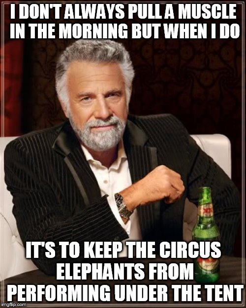 The Most Interesting Man In The World Meme | I DON'T ALWAYS PULL A MUSCLE IN THE MORNING BUT WHEN I DO IT'S TO KEEP THE CIRCUS ELEPHANTS FROM PERFORMING UNDER THE TENT | image tagged in memes,the most interesting man in the world | made w/ Imgflip meme maker