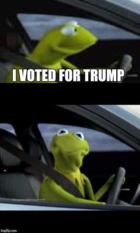 Kermit drives | I VOTED FOR TRUMP | image tagged in kermit,funny,donald trump | made w/ Imgflip meme maker