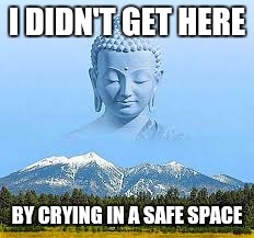 I DIDN'T GET HERE; BY CRYING IN A SAFE SPACE | image tagged in i didn't get here by | made w/ Imgflip meme maker