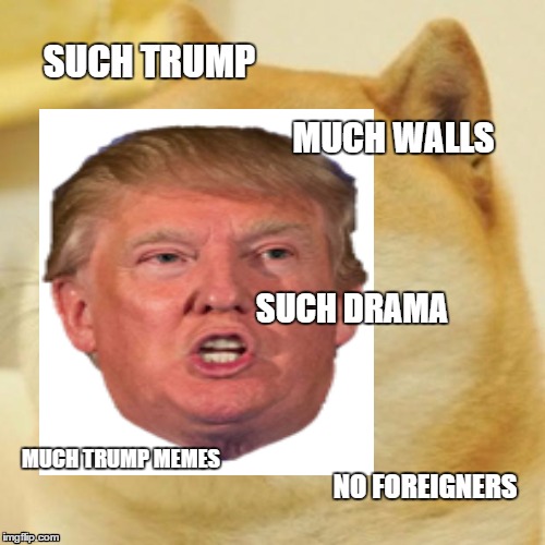 SUCH TRUMP; MUCH WALLS; SUCH DRAMA; MUCH TRUMP MEMES; NO FOREIGNERS | image tagged in donald trump,trump,doge,drama,walls,memes | made w/ Imgflip meme maker