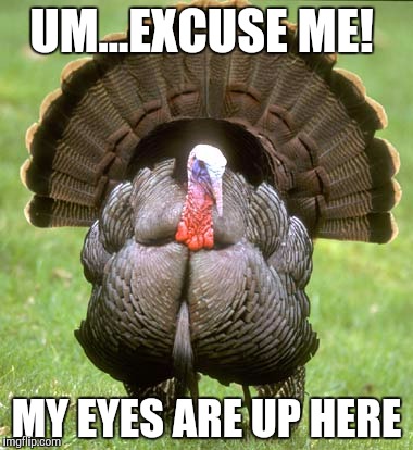Turkey Meme | UM...EXCUSE ME! MY EYES ARE UP HERE | image tagged in memes,turkey | made w/ Imgflip meme maker