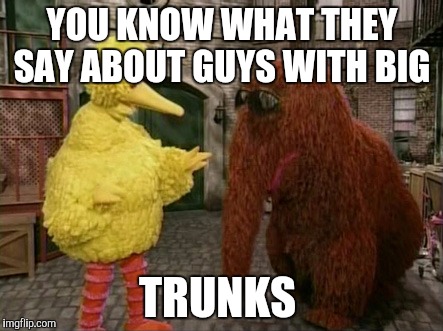 Self conscious  | YOU KNOW WHAT THEY SAY ABOUT GUYS WITH BIG; TRUNKS | image tagged in memes,big bird and snuffy,funny animals,too funny | made w/ Imgflip meme maker