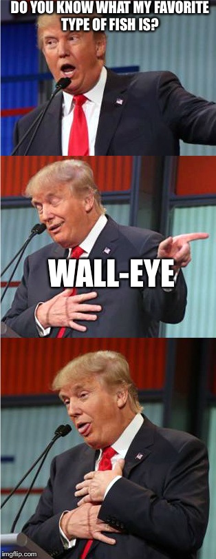 Bad Pun Trump | DO YOU KNOW WHAT MY FAVORITE TYPE OF FISH IS? WALL-EYE | image tagged in bad pun trump | made w/ Imgflip meme maker