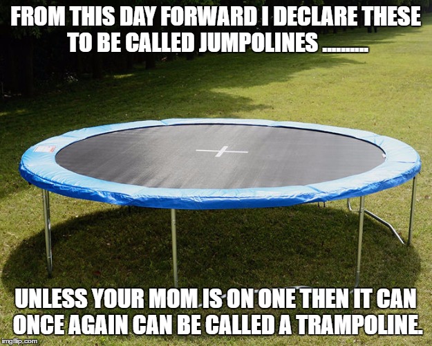 FROM THIS DAY FORWARD I DECLARE THESE TO BE CALLED JUMPOLINES .......... UNLESS YOUR MOM IS ON ONE THEN IT CAN ONCE AGAIN CAN BE CALLED A TRAMPOLINE. | image tagged in burn | made w/ Imgflip meme maker