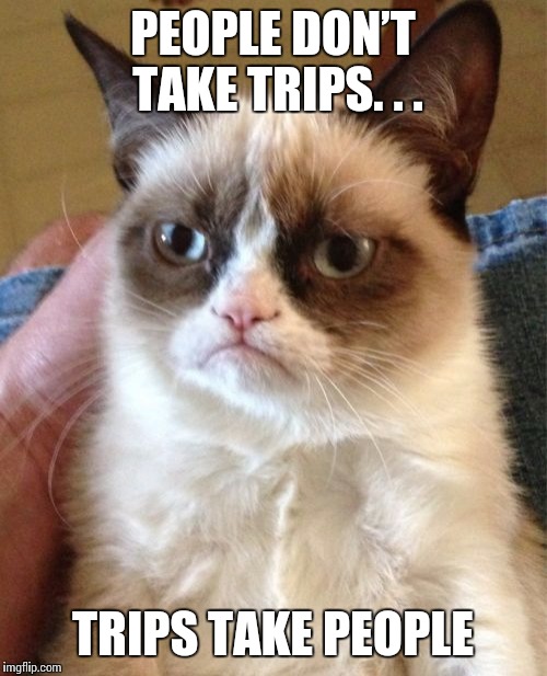 Grumpy Cat Meme | PEOPLE DON’T TAKE TRIPS. . . TRIPS TAKE PEOPLE | image tagged in memes,grumpy cat,pet vacation,pet,cat,trip | made w/ Imgflip meme maker