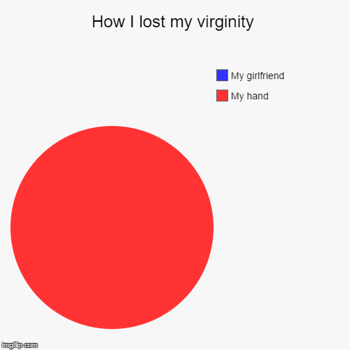 92% of male teens | image tagged in funny,pie charts,virginity | made w/ Imgflip chart maker