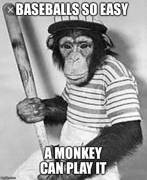 Baseball monkey | BASEBALLS SO EASY; A MONKEY CAN PLAY IT | image tagged in funny,baseball,monkey | made w/ Imgflip meme maker