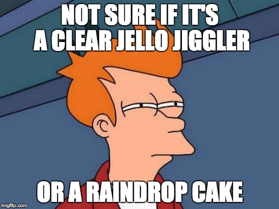 Futurama Fry Meme | NOT SURE IF IT'S A CLEAR JELLO JIGGLER; OR A RAINDROP CAKE | image tagged in memes,futurama fry | made w/ Imgflip meme maker